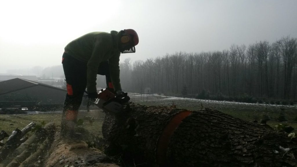 "Ich und mein Holz, ich und mein Holz..."